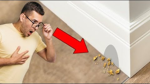 Pre-Move-In Inspection Checklist for your New Apartment -- Professional DIY Inspection Checklist