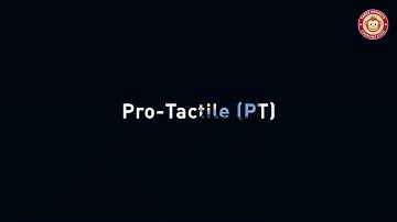 Pro-Tactile (PT) Preview