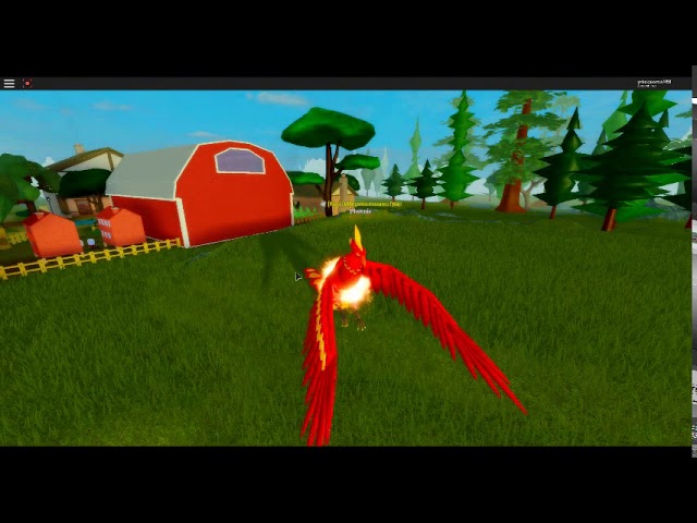 Roblox Feather Family Phoenix And Griffin Review Youtube - feather family griffin showcase roblox youtube