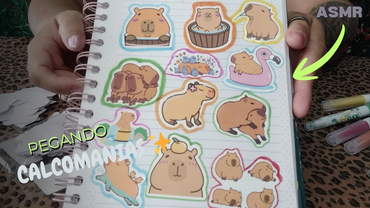 ASMR (CHICLE) PEGANDO CALCOMANÍAS 