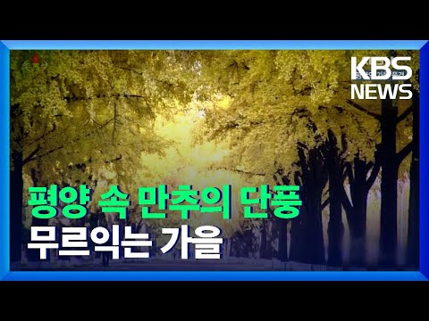 [북한 영상] 평양의 가을 풍경 / KBS  2021.11.06.