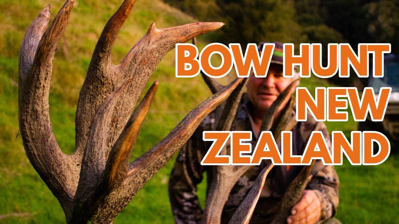 Bowhunting in New Zealand Promo YouTube