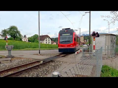 Daily Swiss Train - Crossing in Aarwangen #train #switzerland #crossing
