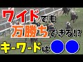 【競馬検証】条件は"アレ"!3,5,6,7人気の穴馬ワイドで万勝ちします!