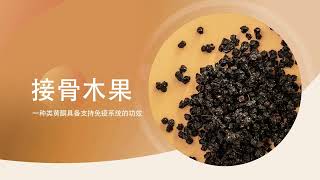 143 USANA 紫錐花維C600飲 Boster C 600 2021 | USANA Video 720p