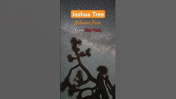 Stargazing at Joshua Tree National Park #darksky #stargazing #travel