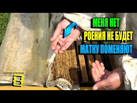 КАК 100% ПОМЕНЯТЬ