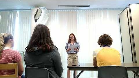 Metaphor Speech-Reflection