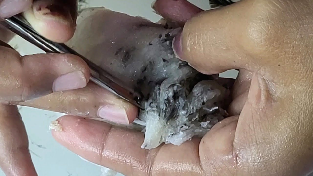 Dulu Geli Sekarang Ketagihan! Proses Cuci Walet Paling Memuaskan di Dunia - SATISFYING VIDEO