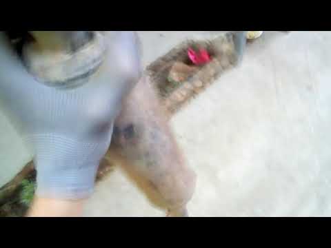 Motoland td150 33c мотоцикл. Смотреть фото Motoland td150 33c мотоцикл. Смотреть картинку Motoland td150 33c мотоцикл. Картинка про Motoland td150 33c мотоцикл. Фото Motoland td150 33c мотоцикл Motoland td150 33c мотоцикл. Смотреть фото Motoland td150 33c мотоцикл. Смотреть картинку Motoland td150 33c мотоцикл. Картинка про Motoland td150 33c мотоцикл. Фото Motoland td150 33c мотоцикл