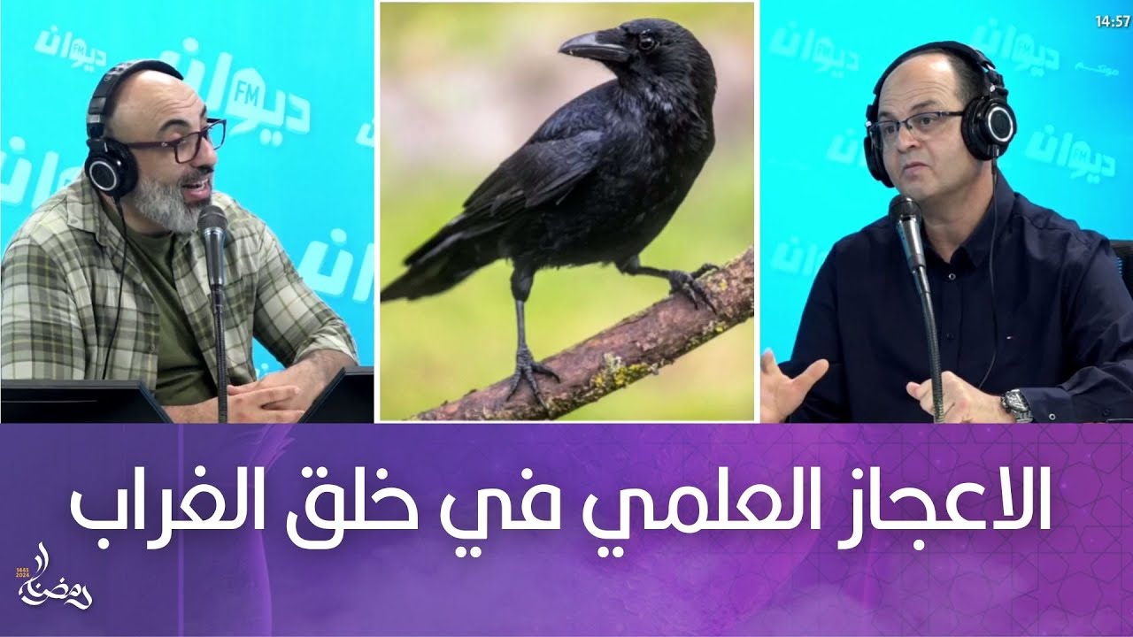 الاعجاز العلمي في خلق الغراب مع الدكتور البيطري  رياض المثني