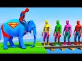 GTA V Ragdoll Fails LIVE! Epic Stunts & Crazy Physics