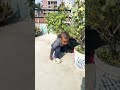 Chote se vlog main 😅😂 #shortsvideo #funny #viralvideos #viralshort #cutebaby