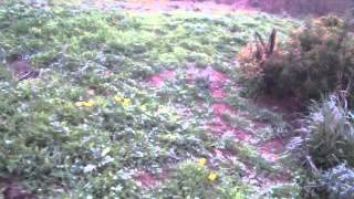 20150130 Sycamore Post-Flood Trail Recon (2 of 3)-raw