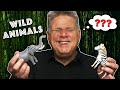 Blind Person Tries Identifying Wild Animals By Their Shape