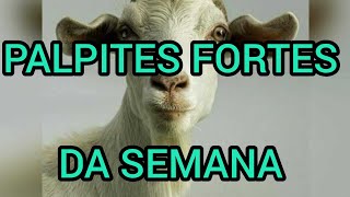 PALPITES FORTES DA SEMANA DO DIA 20 AO DIA 26/07/26 (SORTE A TODOS)@canaldomarcao1969 
