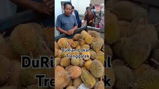 DURIAN Lokal Trenggalek sudah panen.