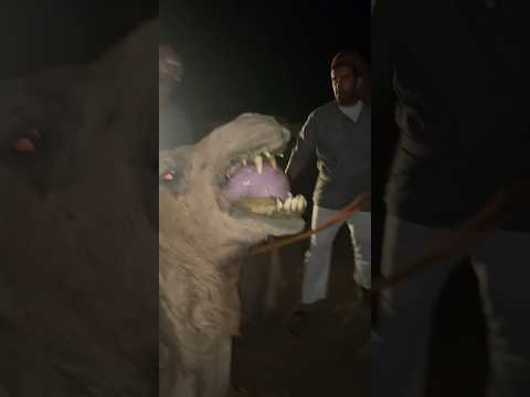 وزلفه الهرش