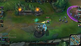 Fiddle fear bug