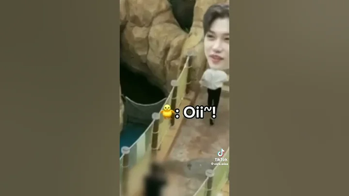 "hi chris" #skz #keşfet #keşfetedüş #felix #yongbok #chan #chris