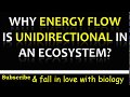 Energy Flow in Ecosystems Quiz