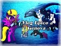 Vlog 19  toy hunting e acquario di genova vlog epico a genova