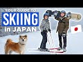 Everything you need to know about SKIING in JAPAN! ⛷️❄️