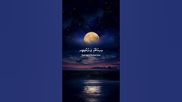 تلاوة هادئة وجميلة جدا 🤍🍁 قران كريم بصوت القارئ ياسر الدوسري#سبحان الله