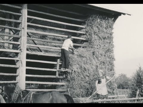 Etnološko konservatorstvo, kultura stavbarstva in bivanja: Vito Hazler