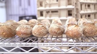 The future of bread comes from a lab — here's why that's good