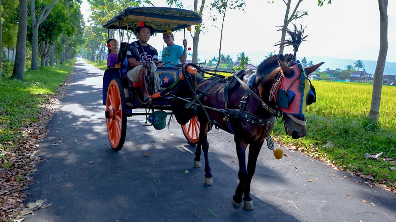 Keysha, Sheena, & Cobil Naik Delman Istimewa