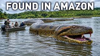 Scientists Found a Giant Snake No One Knew Existed