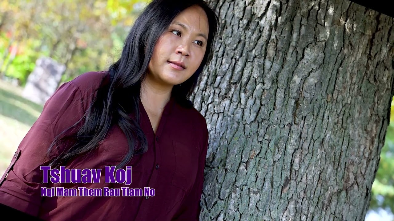 Tshuav Koj Nqi Mam Them Rau Tiam No. 6/3/2025