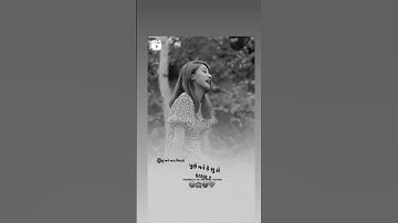 gujarati status shayri bhai o mate se mara yaro mate se