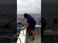 巨大マグロと勝負‼️「上がるのか?」