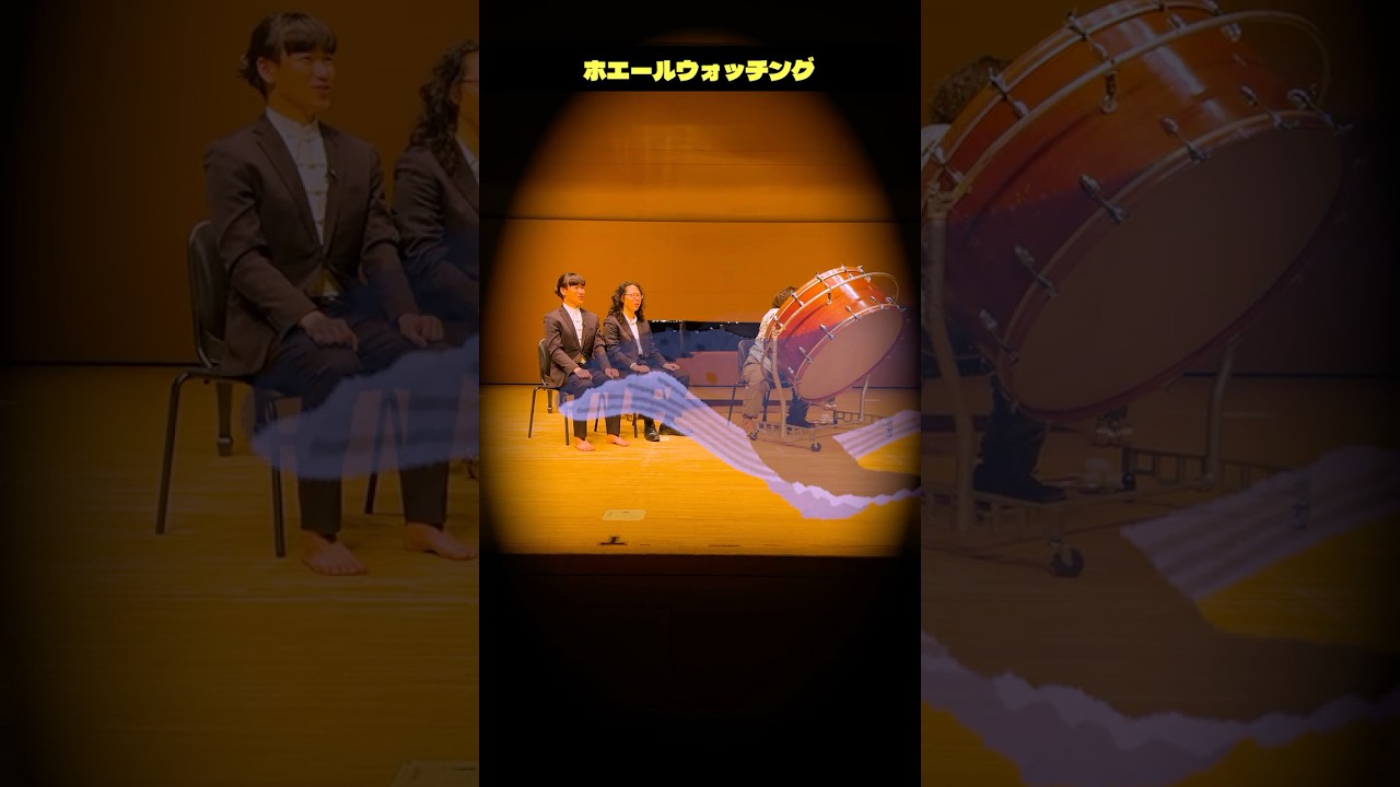 ホエールウォッチングinコンサートホール #shorts