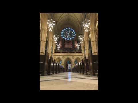 Limestone floor cleaning, polishing and sealing services - Arundel Cathedral