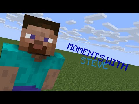 Moments With Steve