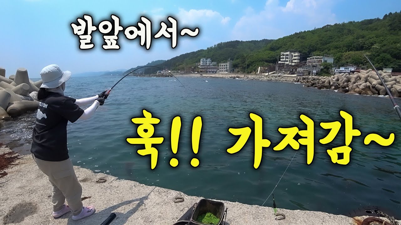 [다리tv] 발앞에서!!! 동해 영덕 민장대 낚시!!!