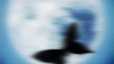 M.E.P - Duality - Unfinished