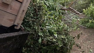 Maple Grove Yardwaste Waives Brush-Size Limit After Storm