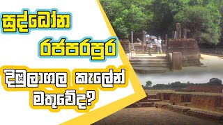 සුද්ධෝදන රජ පරපුර දිඹුලාගල කැලයෙන් මතුවේ ද?