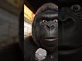 2% battery or no toilet paper #GorillaInterviews #StreetComedy #CityLifeHumor #Relatable #shorts