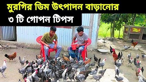 Increase Egg Production in Chickens — Stop Low Eggs & Boost Laying Fast | #backyardchickens