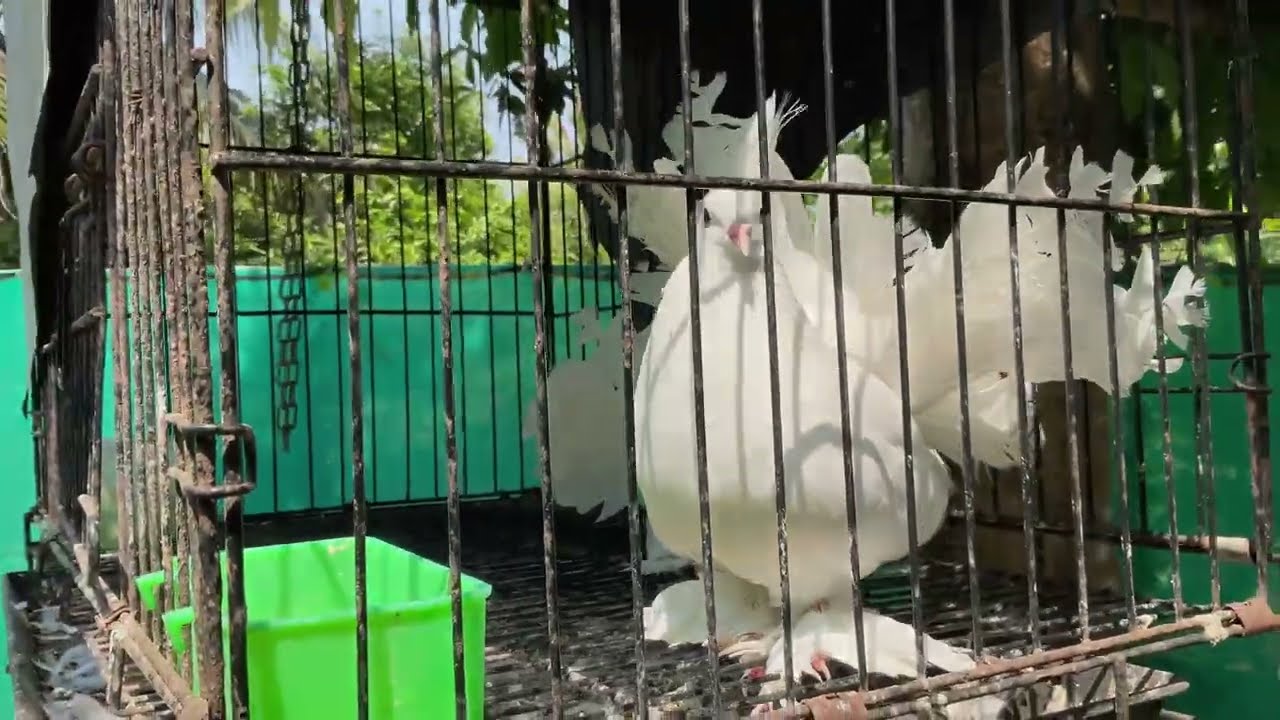 Oridam Homestay in Irinjalakuda