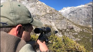 We waited 3 hours for the shot! Hunting Bull Tahr New Zealand  Landsborough Valley