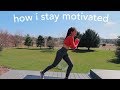 how i've been staying motivated (workout with me)