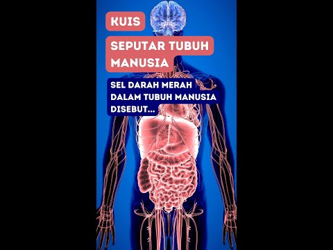 Video: Apakah maksud istilah evolusi kuiz?