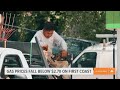 THE TRUMP EFFECT: 4th of July Gas Prices PLUNGE