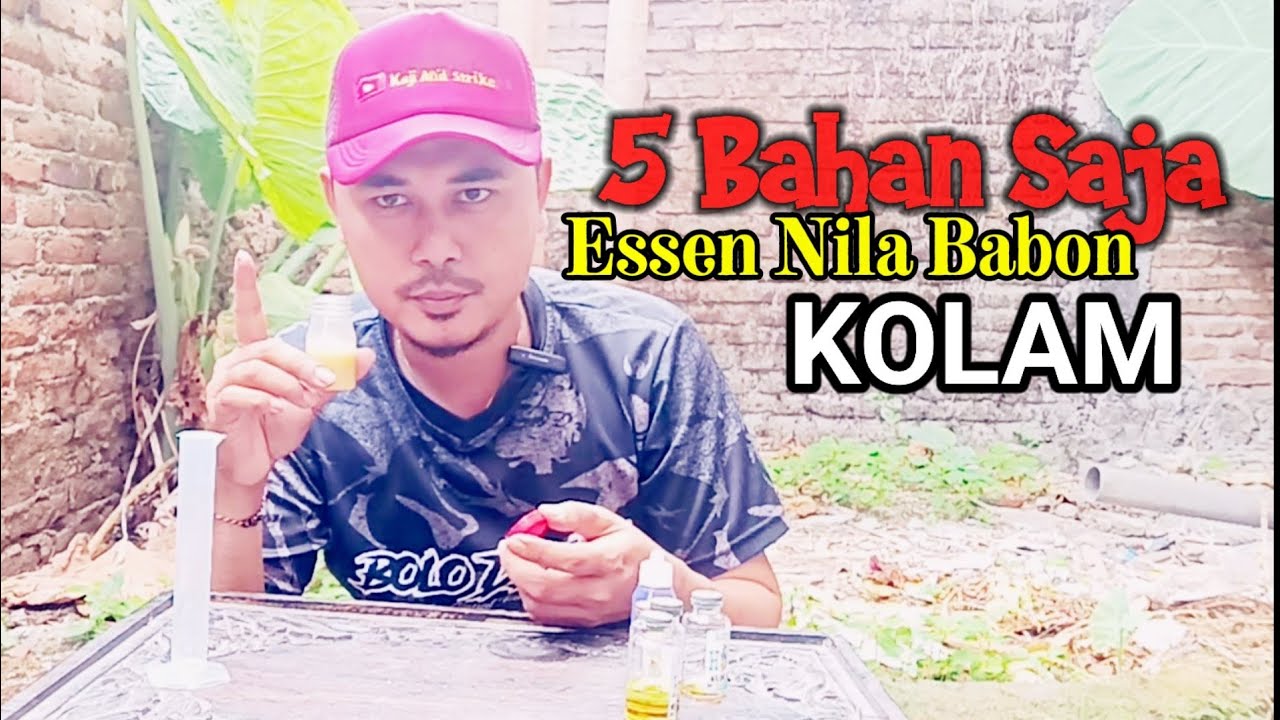 Resep Racikan Essen Nila Kolam ‼️ Cukup Dengan 5 Bahan Saja!!!